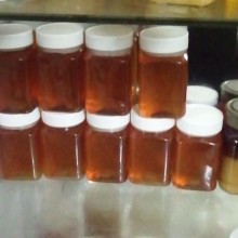 百花土蜂蜜蜂农自产质量纯批发零售