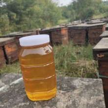 蜂蜜 红荆条蜜